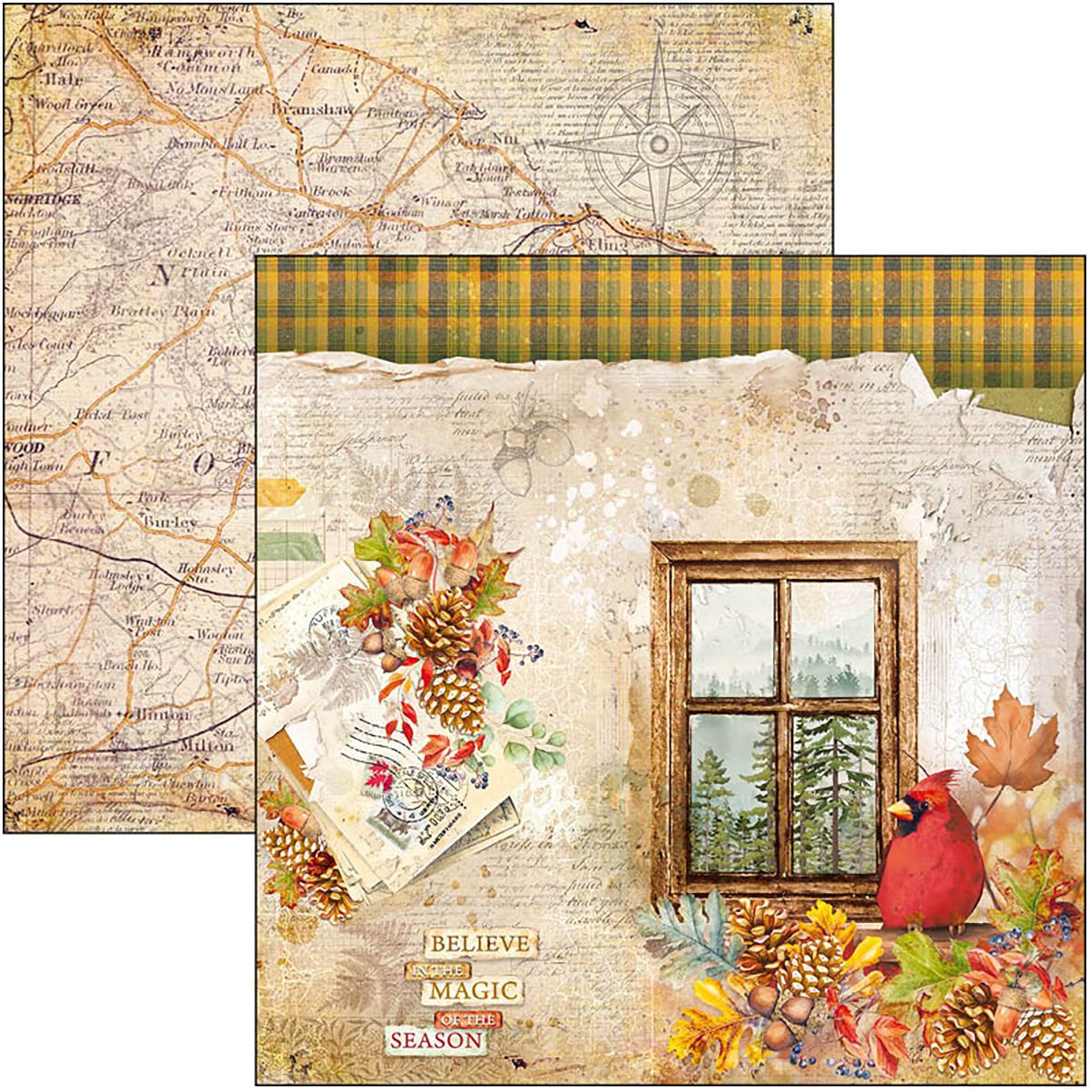 Ciao Bella - INTO THE WILD - PAPER PAD 12"X12" - 12 olika dubbelsidiga ark - 12