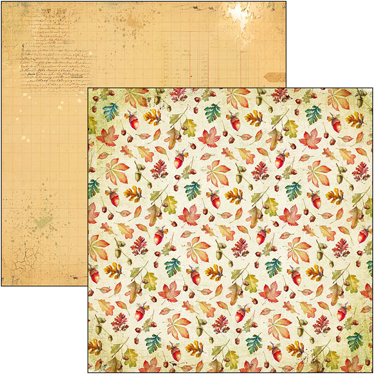 Ciao Bella - INTO THE WILD - PAPER PAD 12"X12" - 12 olika dubbelsidiga ark - 7