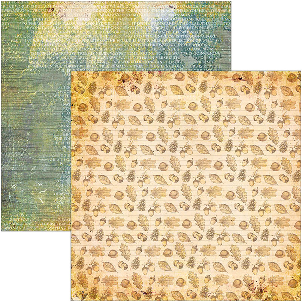 Ciao Bella - INTO THE WILD - PAPER PAD 12"X12" - 12 olika dubbelsidiga ark - 9