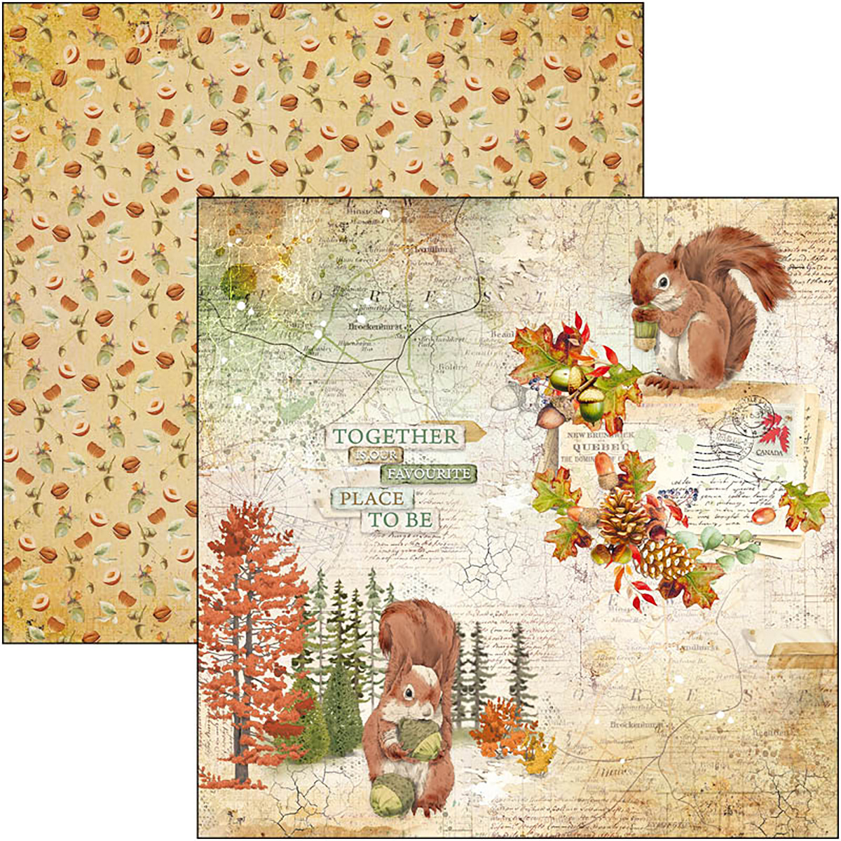 Ciao Bella - INTO THE WILD - PAPER PAD 12"X12" - 12 olika dubbelsidiga ark - 5