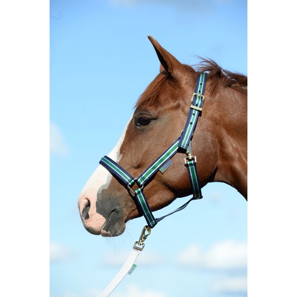 Bucas Dublin Grimma - blå/grön/vit randig (Cob)