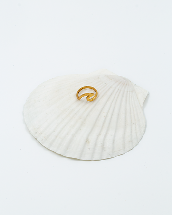 Ring, våg