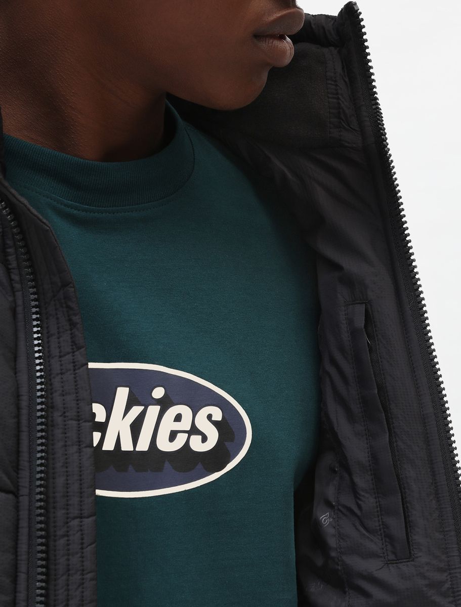 Dickies Waldenburg Jacka Svart - 4