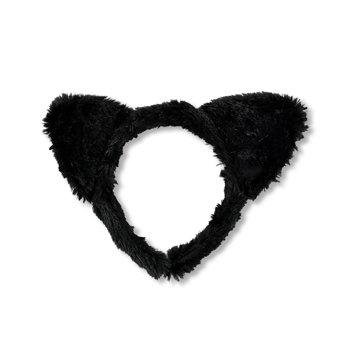 Diadem Katt