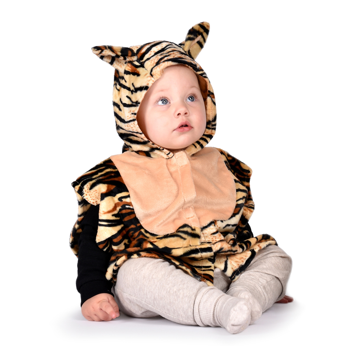 Cape Tiger baby