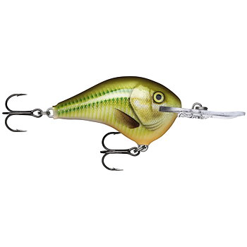 Rapala DT Dives-To 10