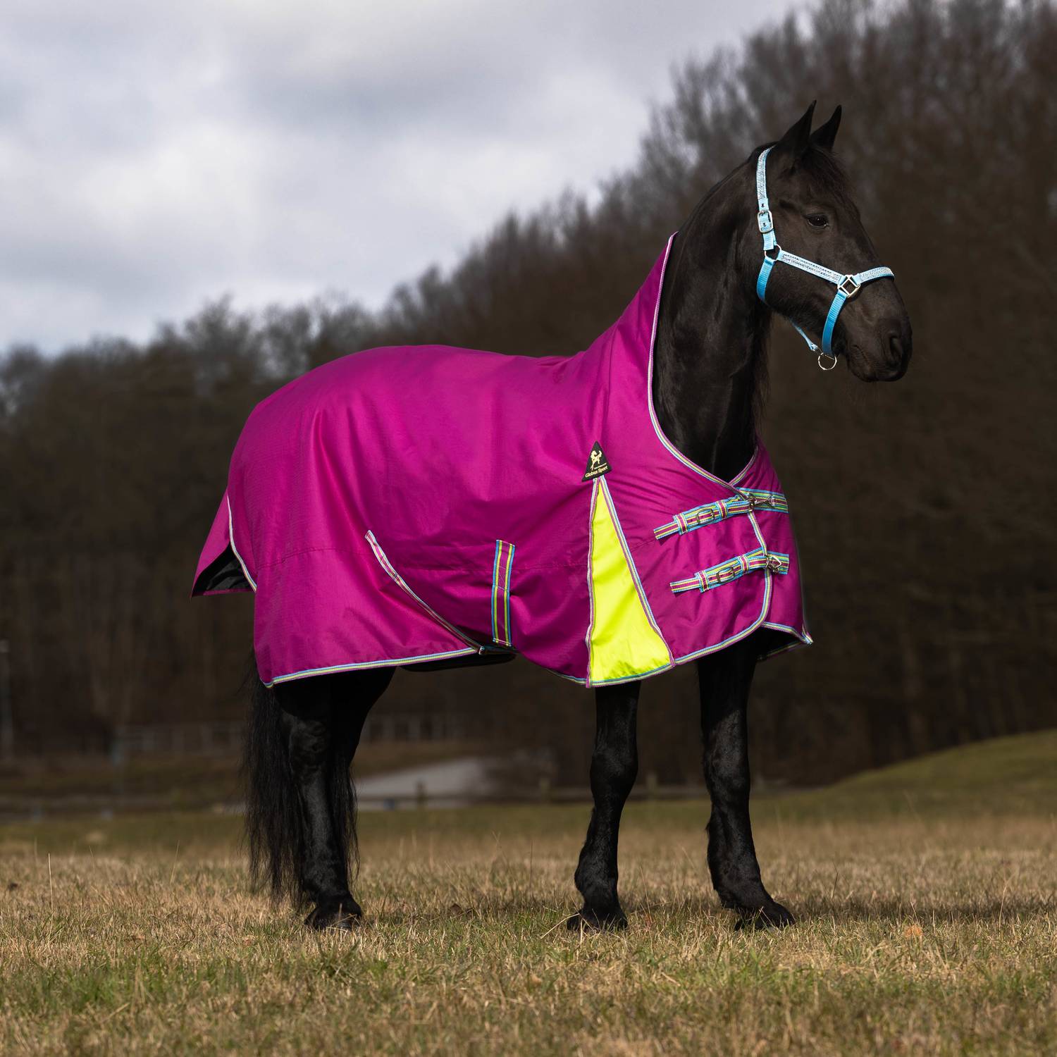 Globus 0g Tarzan 125-165 cm FLERE FARGER - 4