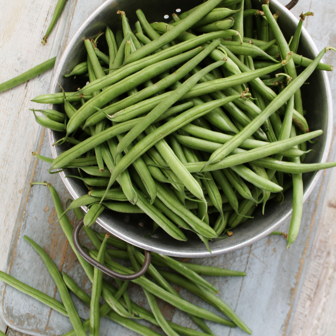 Störbrytböna - Cobra