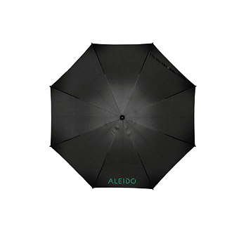 Umbrella windproof