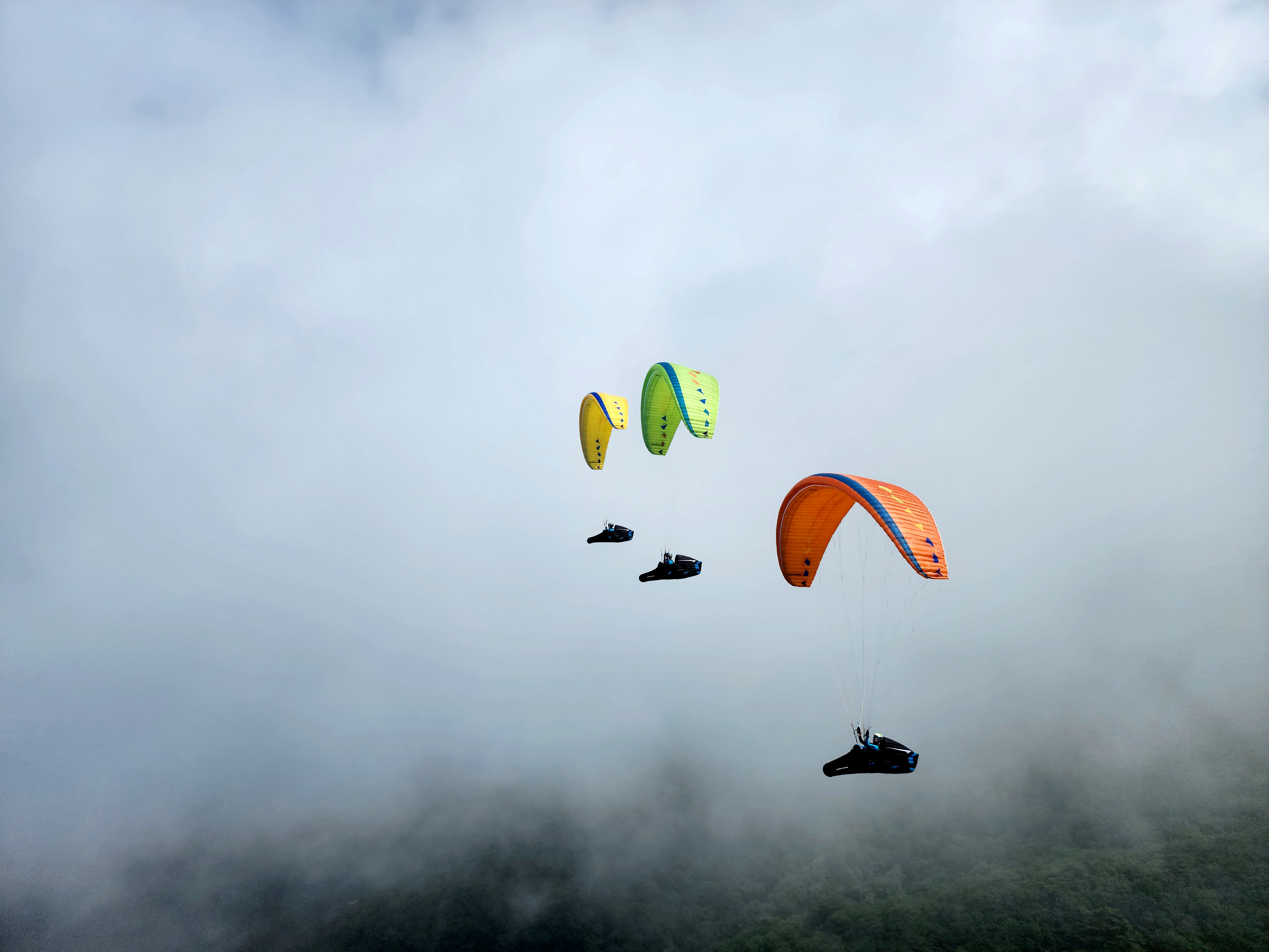 DAVINCI gliders Mambo   2 Linors  C skärm  - 18