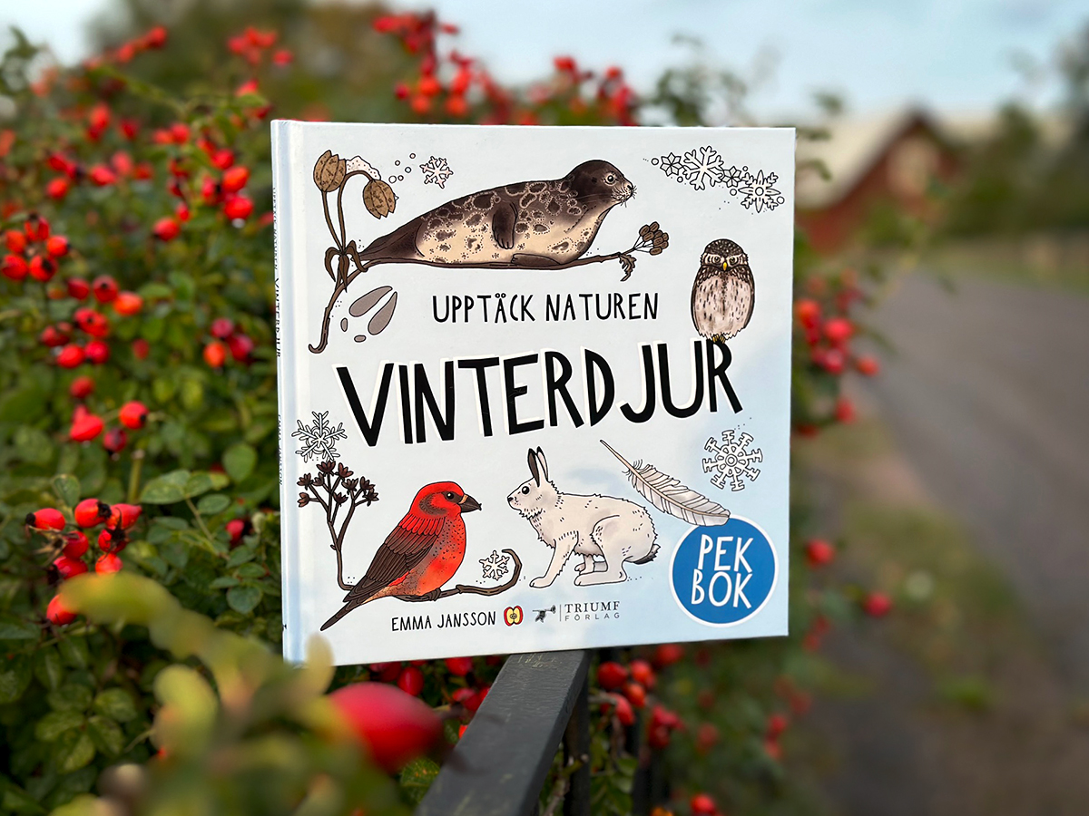 Pekbok - Vinterdjur - 2