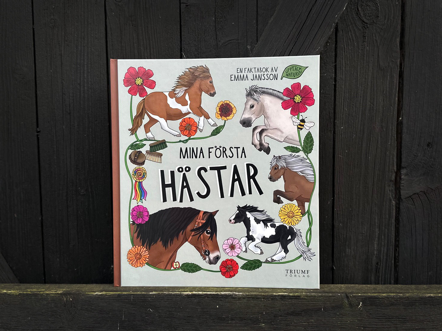Mina första hästar - 2