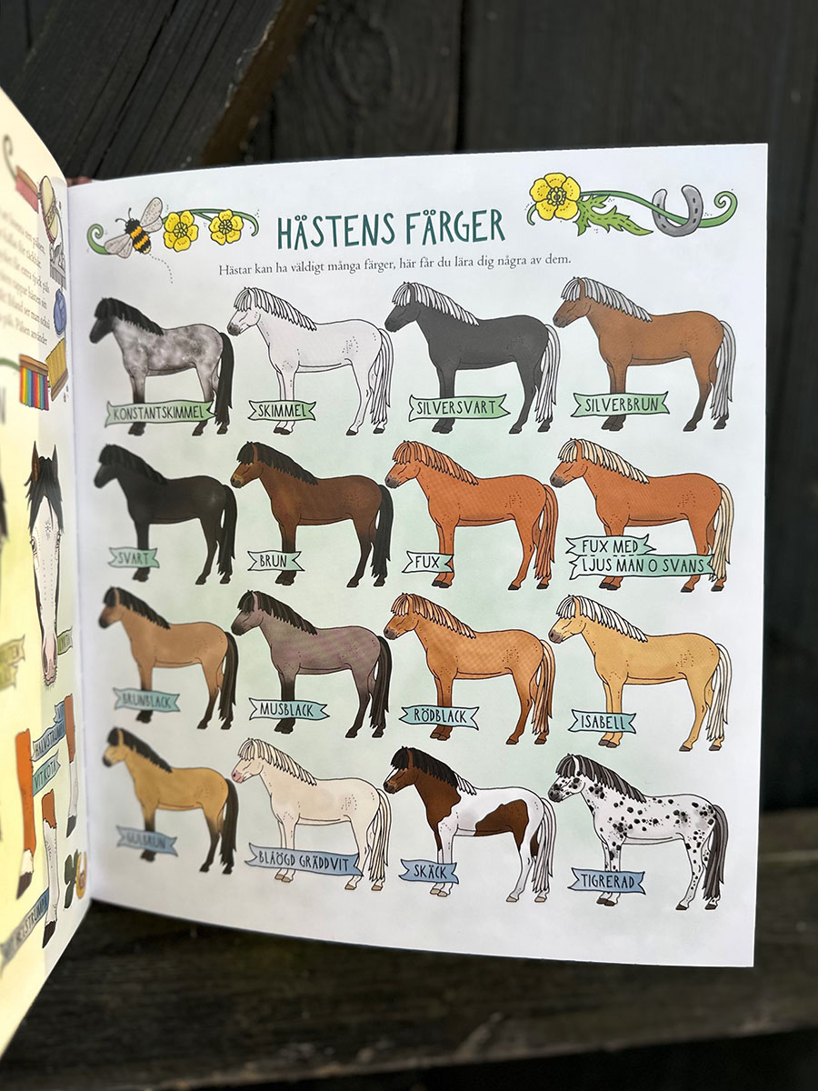 Mina första hästar - 5