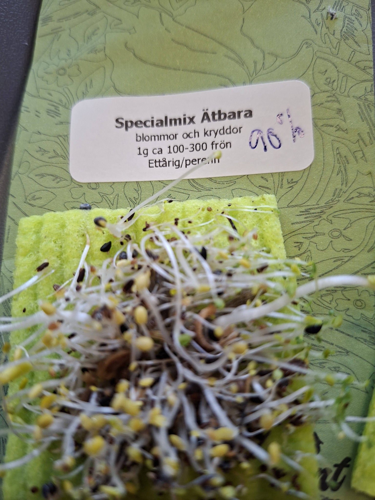 Specialmix ätbara blommor och kryddor 1g cirka 100-300 frön - 2