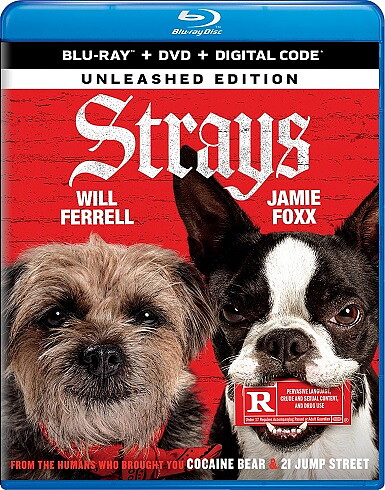 Strays (BLU-RAY + DVD)