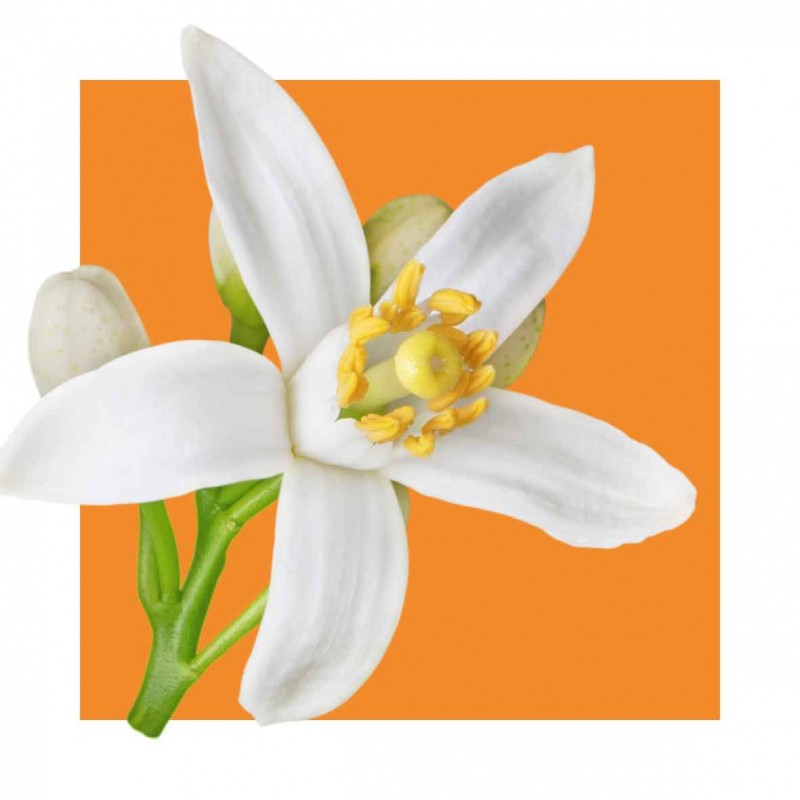 BE POSITIVE Eau de Parfum OPTIMISM Orange Blossom 15ml - 4