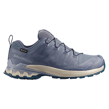 Salomon XA Pro 3D V9 GTX W