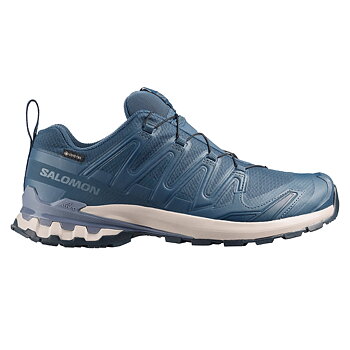 Salomon XA Pro 3D V9 GTX M