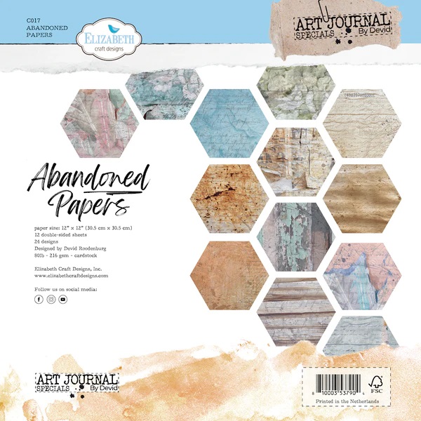 Elizabeth  -  Printed Cardstock - Abandoned Papers 12x12