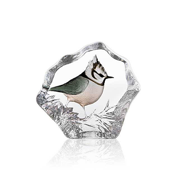 Mats Jonasson Wildlife Painted Crested Tit