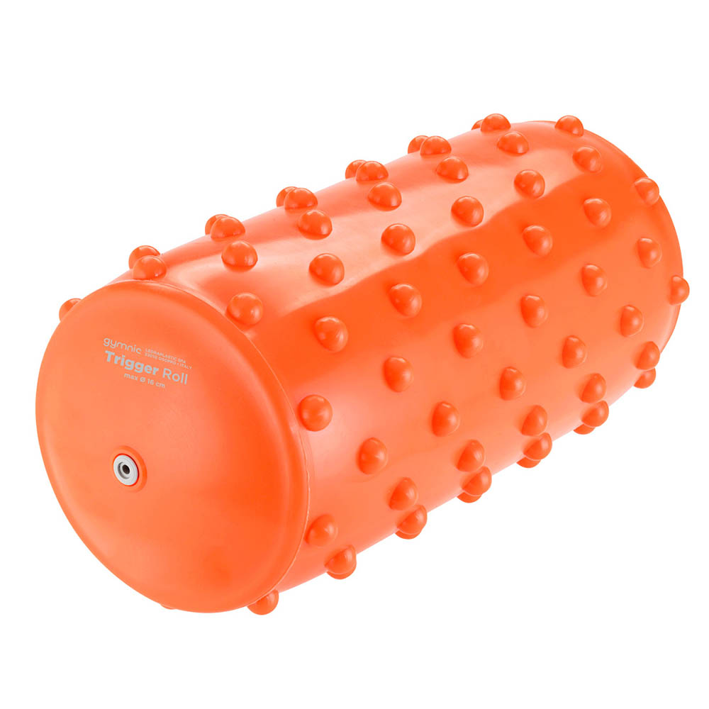 Trigger roll foamroller med piggar till hund balansbollsträning