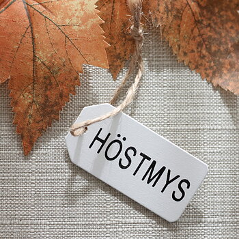tag höstmys