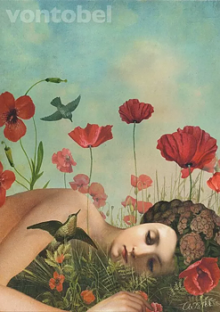 Catrin Welz-Stein : Poppy Field 2021 - vykort
