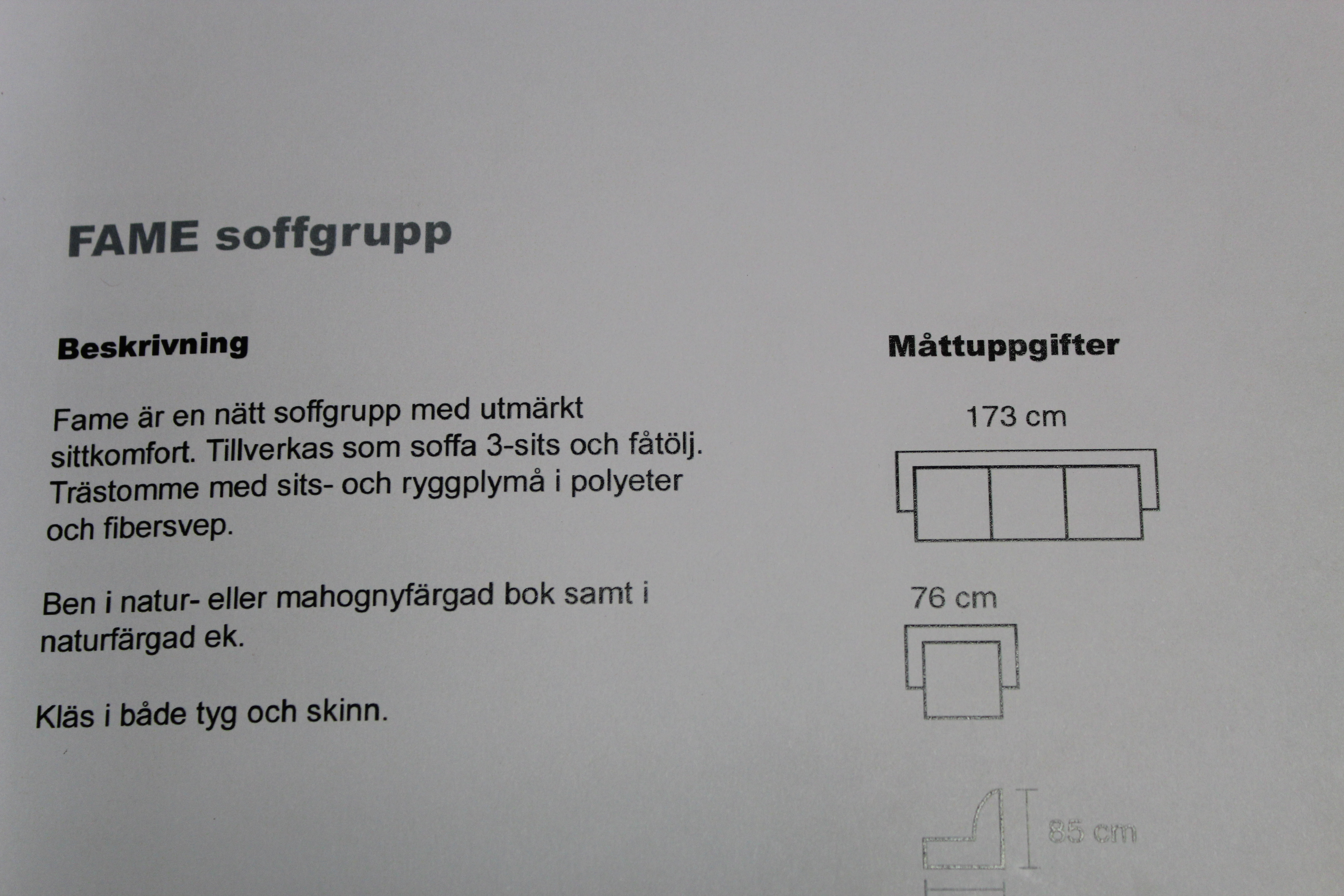 Soffgrupp Fame - 5