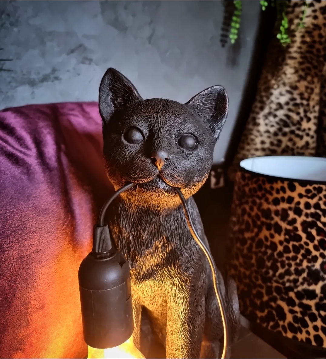 Lampa - Black Cat - 2