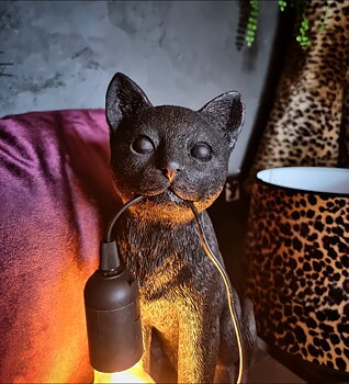 Lampa - Black Cat