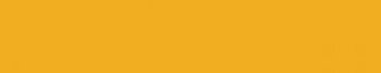 Trainer Yellow 22ml