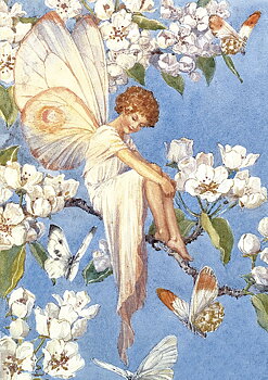 Fairy Blossom Tree, Greeting Card