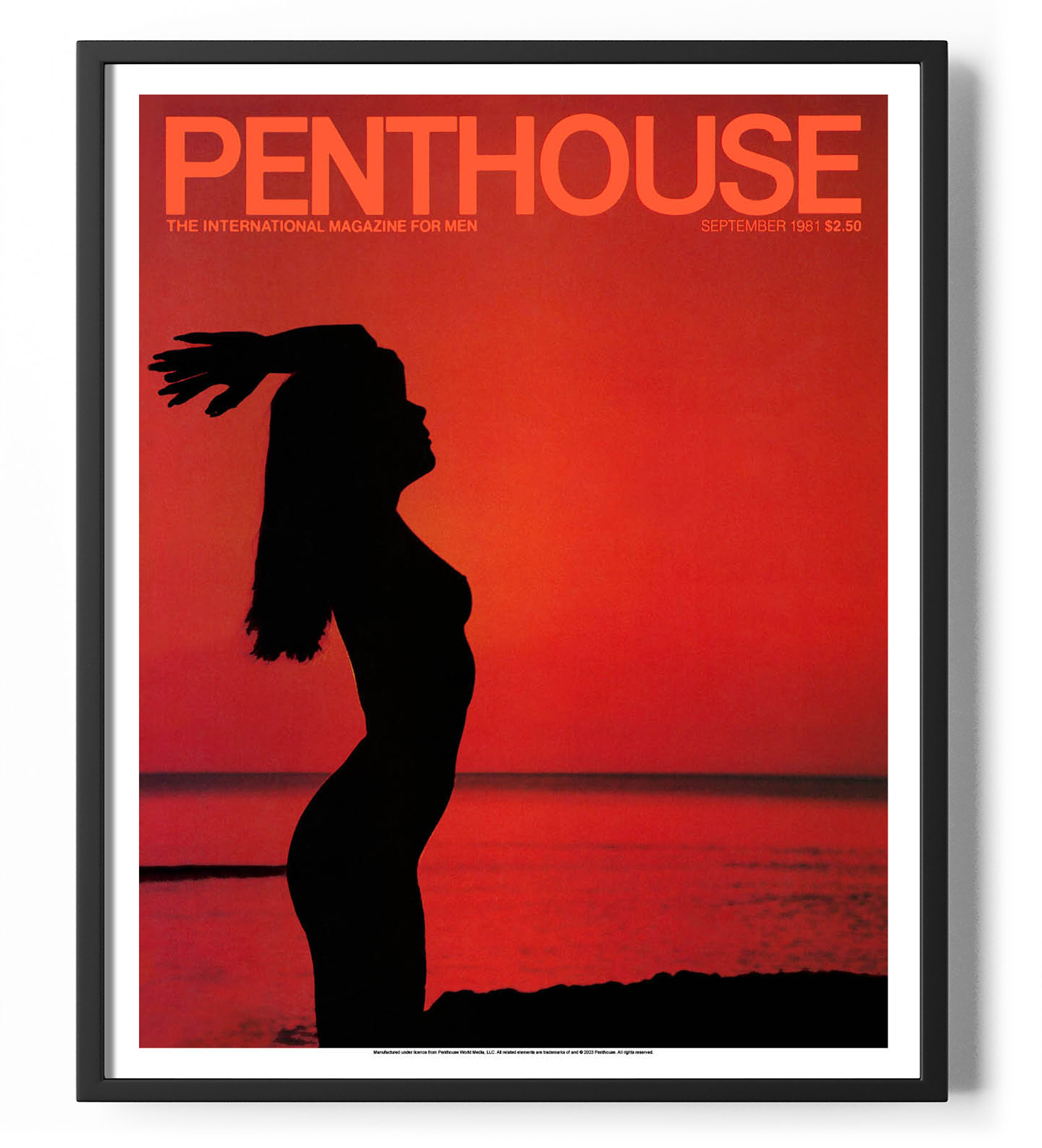 Vintage Penthouse Pets - rmau6fq