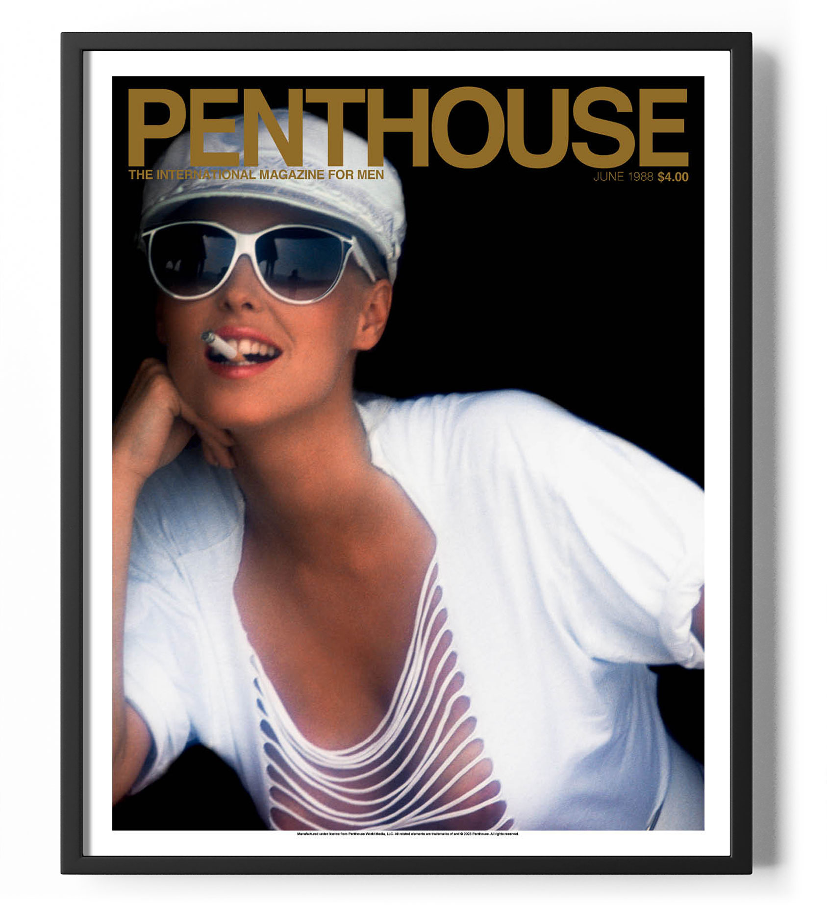 Vintage Penthouse Pets - m2toczt