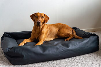 Lounge-säng från Active Canis 70X85cm