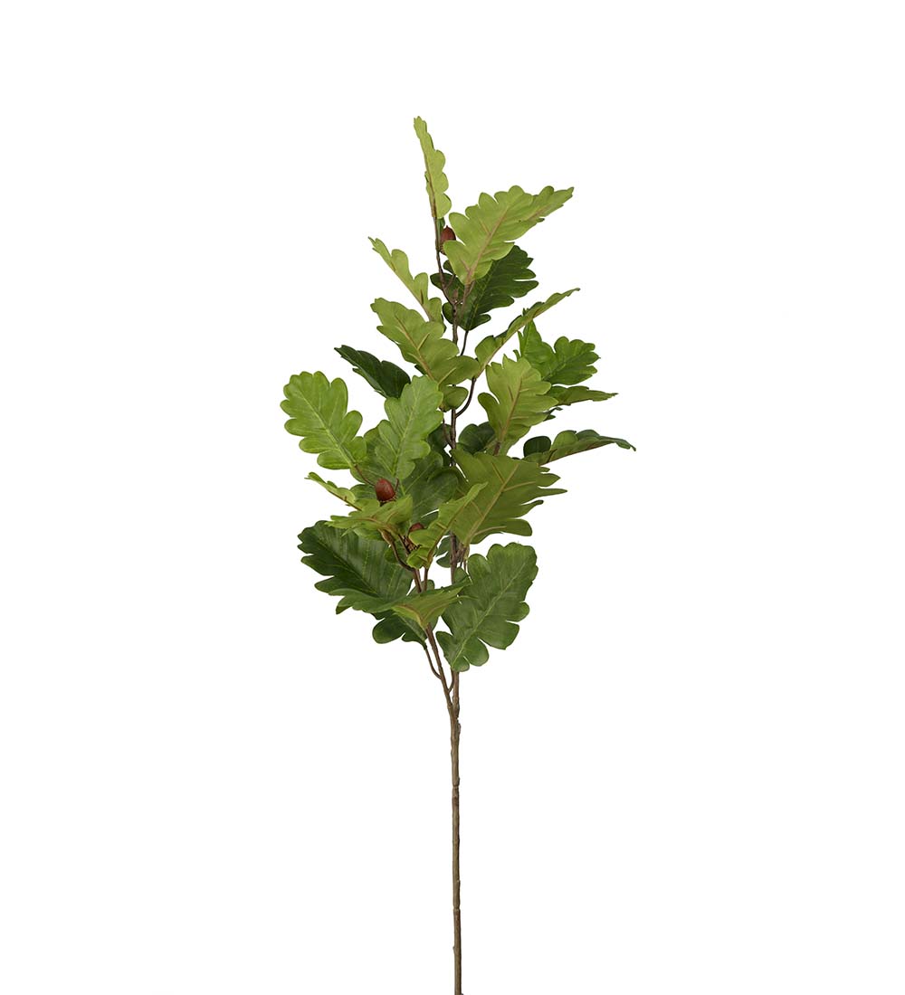 Ek grön 95 cm