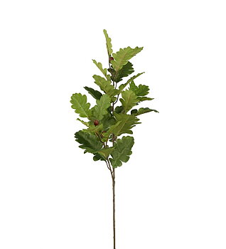 Ek grön 95 cm