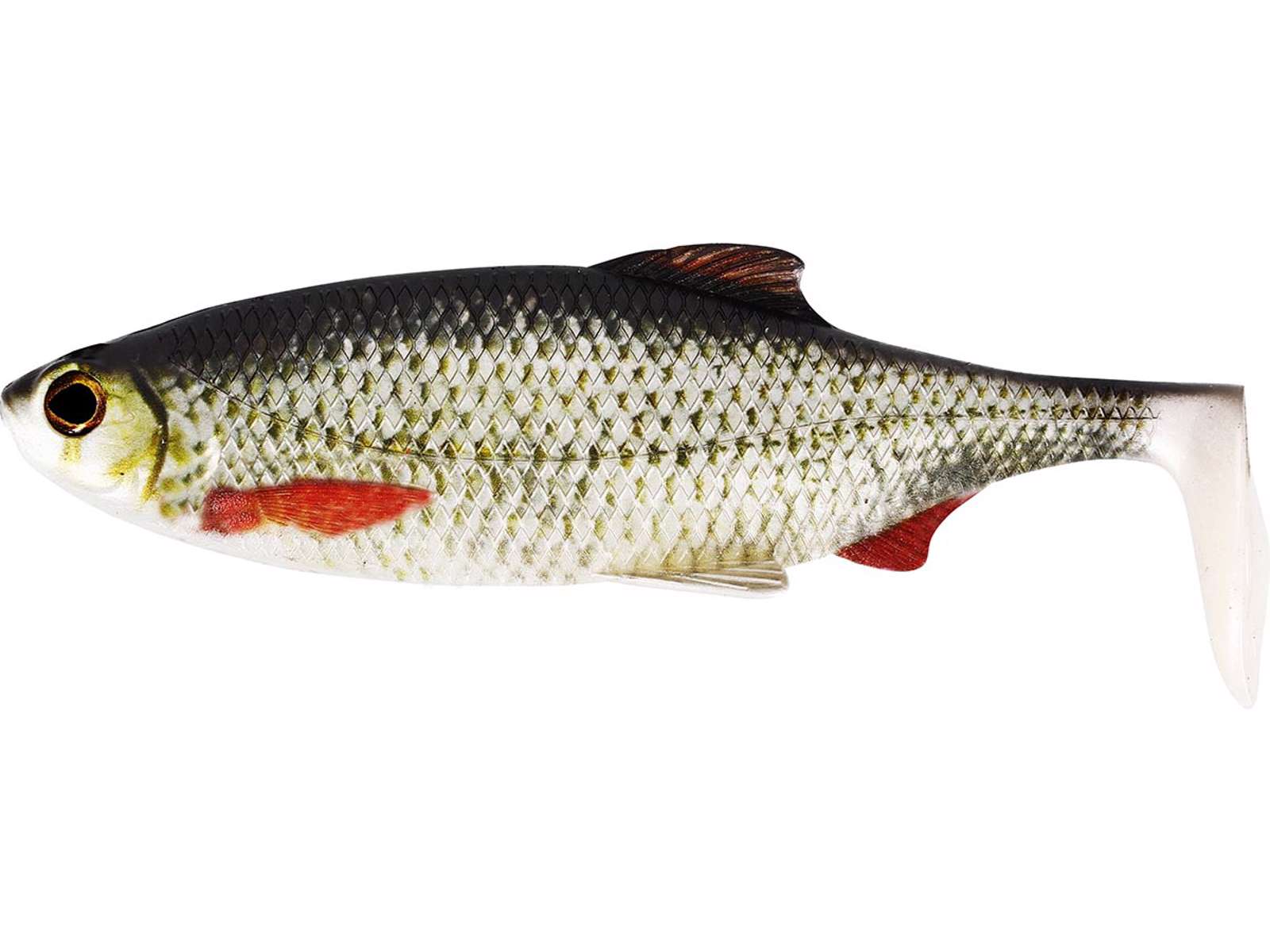 Westin Ricky the roach shadtail 18cm 85g, realistiskt gäddjigg av mörtimtation