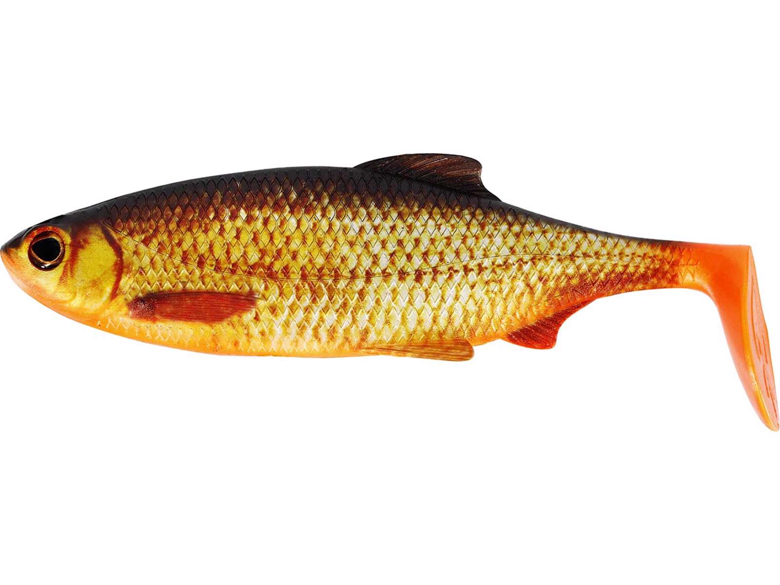 Westin Ricky the roach shadtail 18cm 85g, realistiskt gäddjigg av mörtimtation