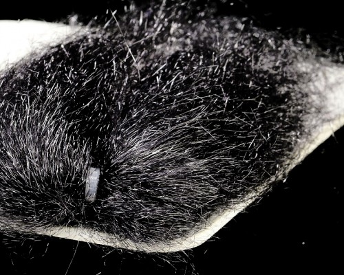 Ghost Hair - 38
