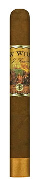 Aj Fernandez New World Dorado Corona