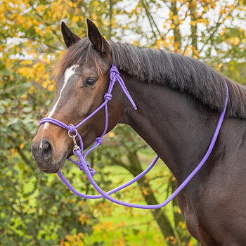 Ridrepgrimma med tyglar QHP, lila