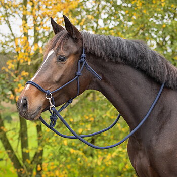 Ridrepgrimma med tyglar QHP, marinblå