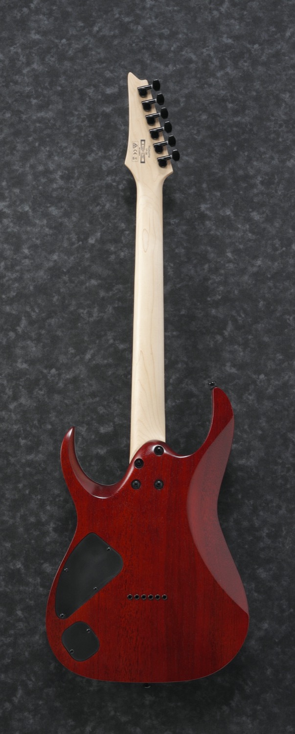 Ibanez RGA42FM-TGF - 9