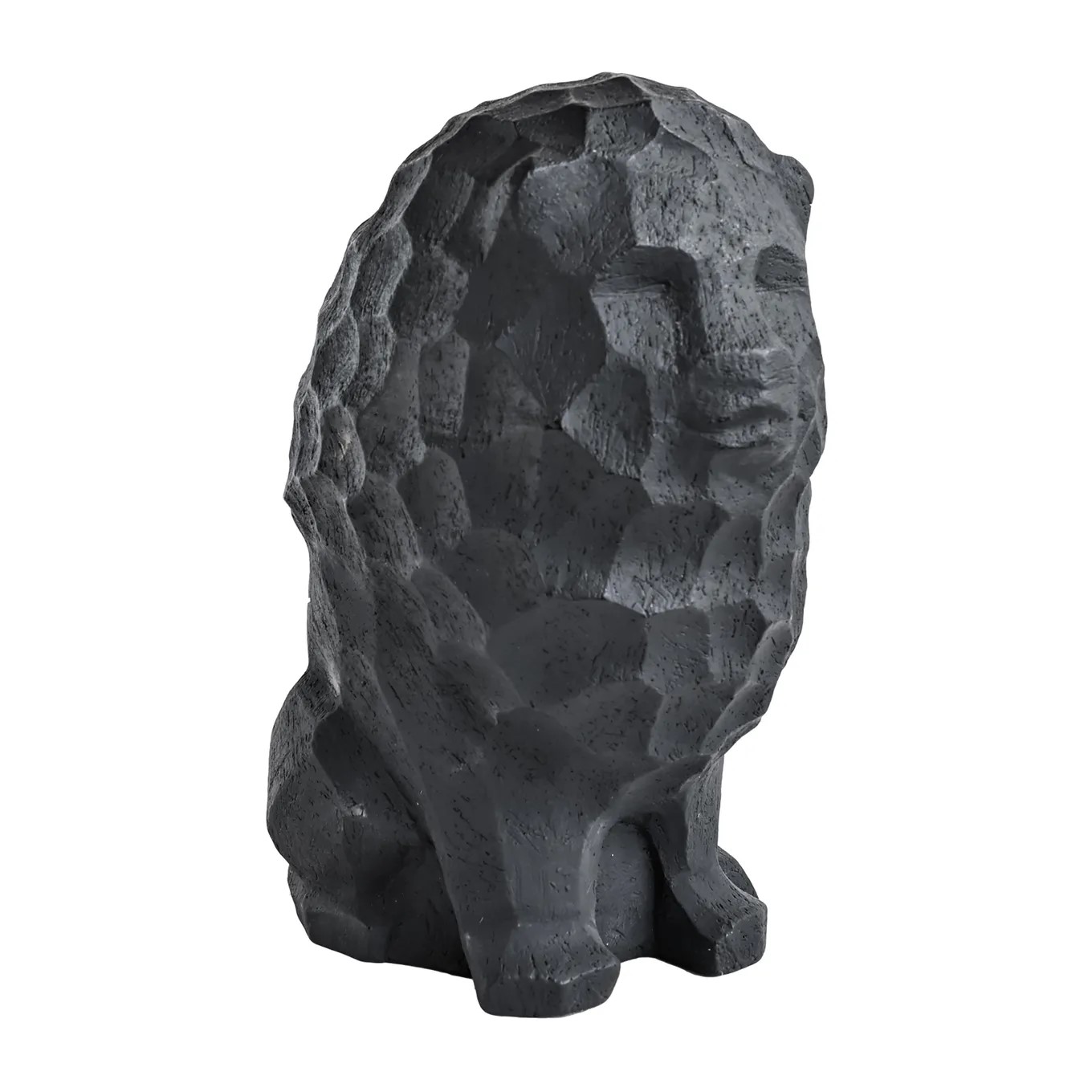 Lion - 6