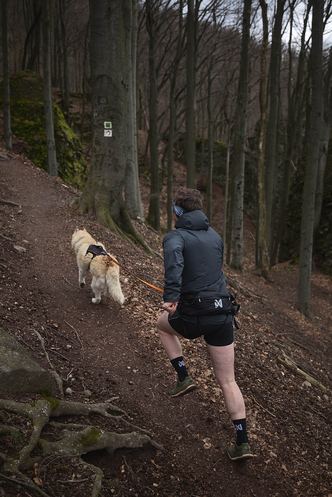 Non-Stop Dogwear Trail Light Belt - Black 