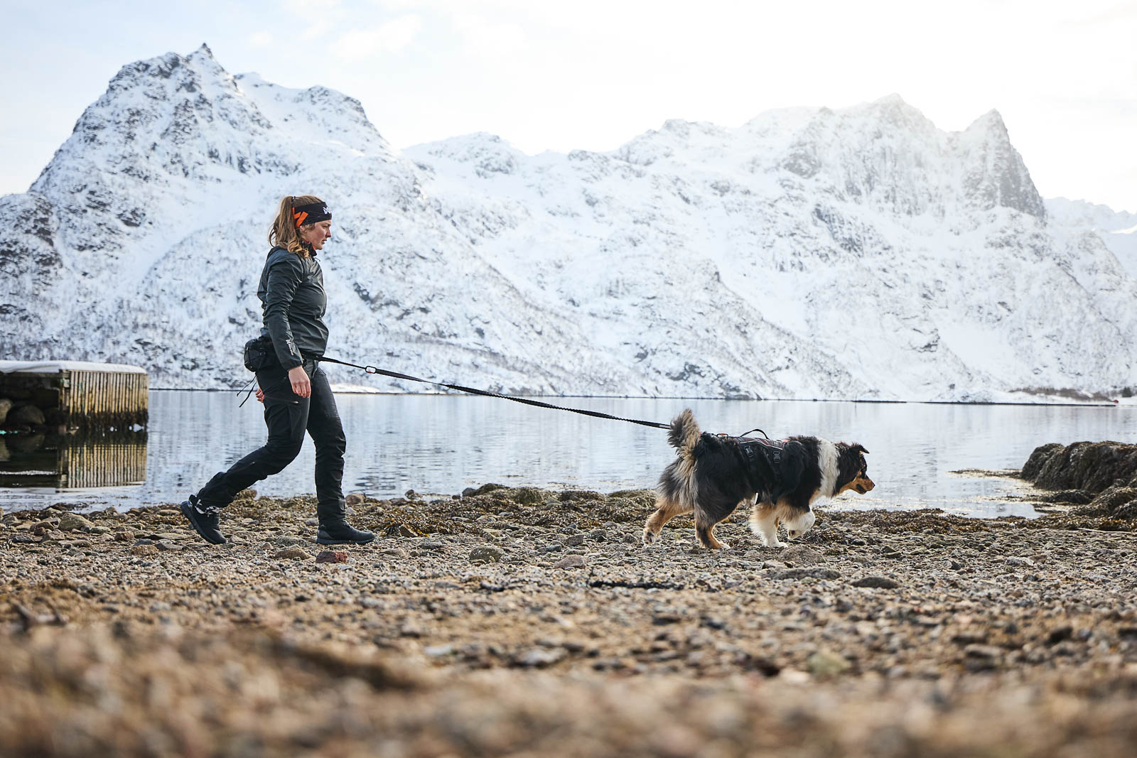 Non-Stop Dogwear Trail Light Belt - Black 