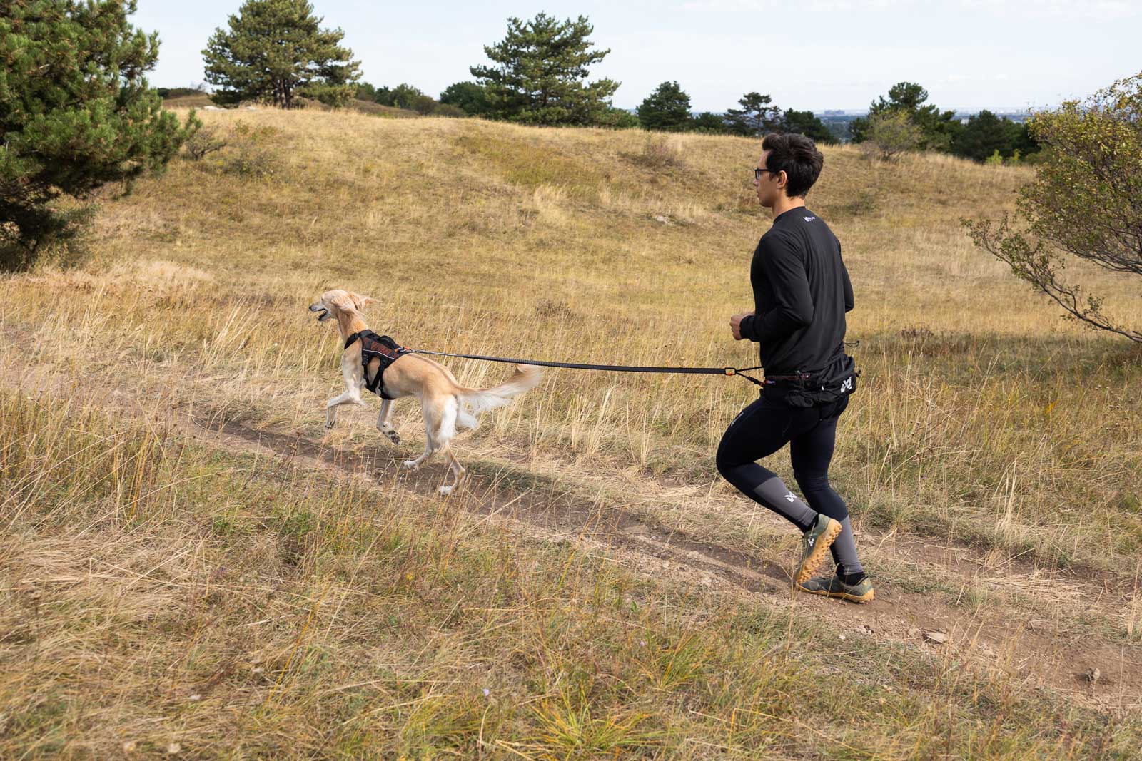 Non-Stop Dogwear Trail Light Belt - Black 