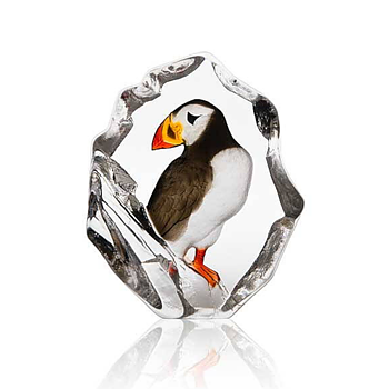 Mats Jonasson Målerås Wildlife Lunnefågel