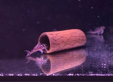 Pleco Cave Medium 13,5 x  5,0 cm - 3